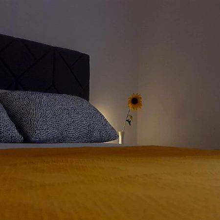 Casa Bella - Vracar Apartman Belgrád Kültér fotó