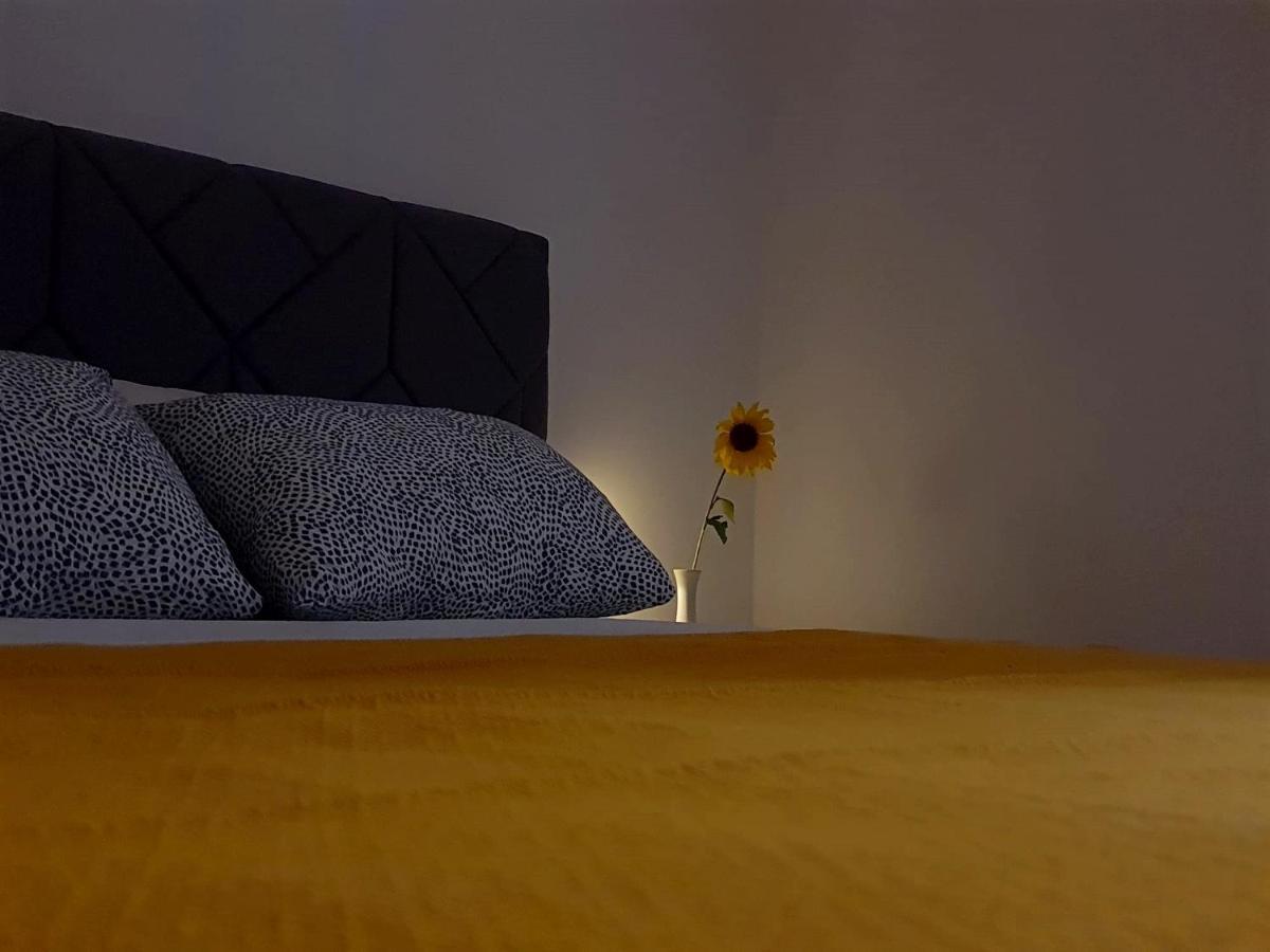 Casa Bella - Vracar Apartman Belgrád Kültér fotó